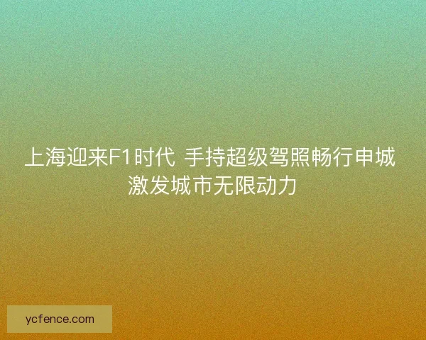 上海迎来F1时代 手持超级驾照畅行申城 激发城市无限动力