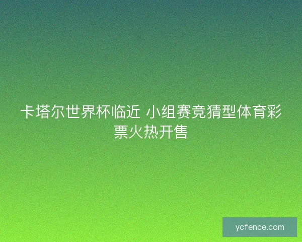 卡塔尔世界杯临近 小组赛竞猜型体育彩票火热开售 卡塔尔世界杯临近 小组赛竞猜型体育彩票火热开售